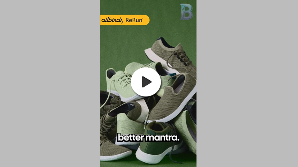 AllBirds